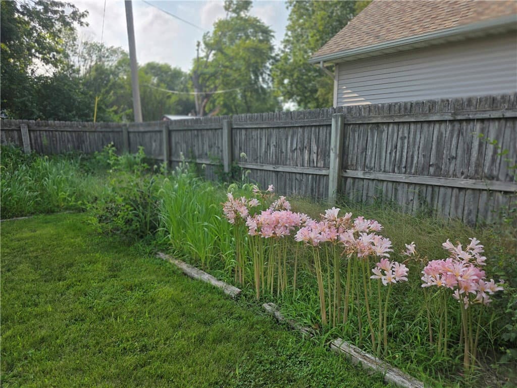 215 N Beech Street, Arthur — interior or exterior view, photo 2 of 32