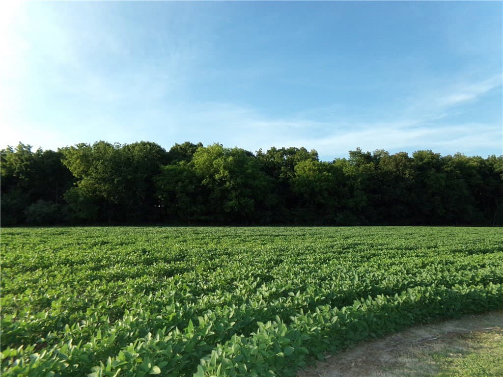 #11 Deer Lake Estates, Findlay, IL 62534 — exterior
