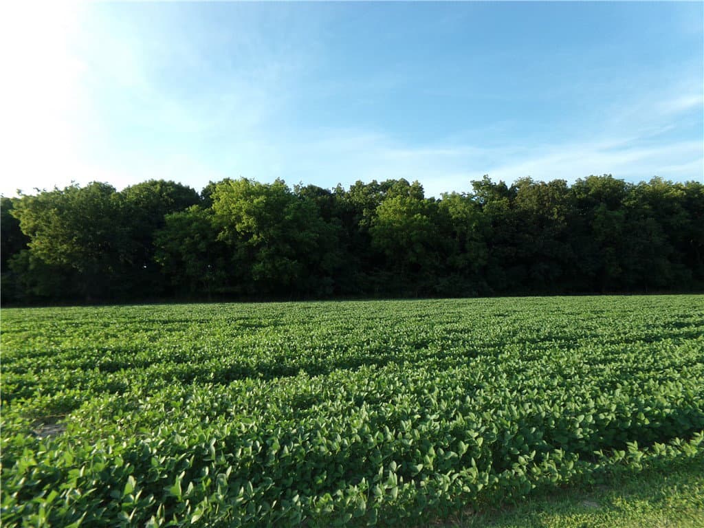 10 Deer Lake Estate, Findlay