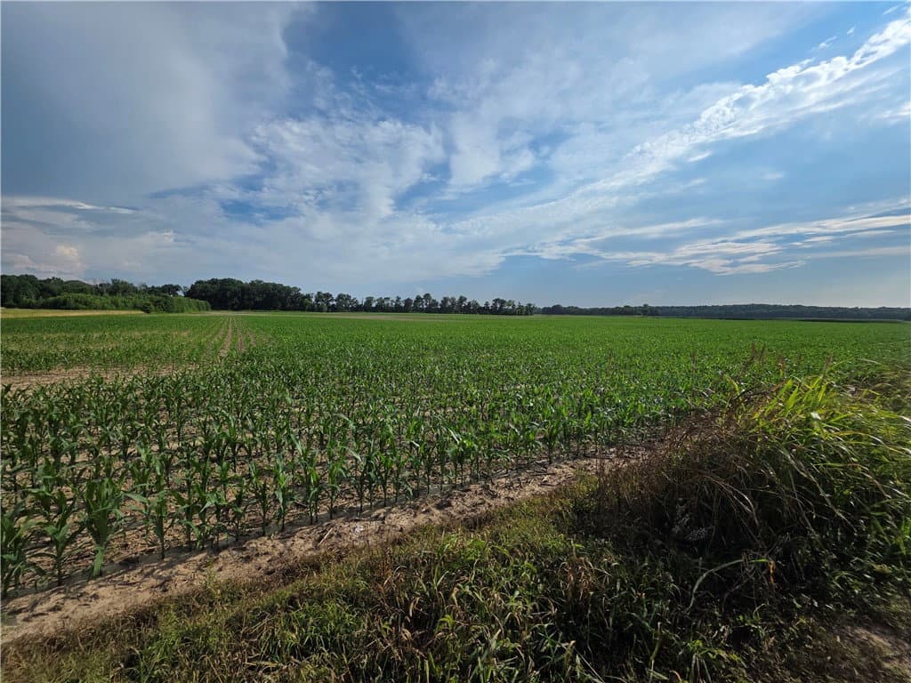 1800 E 700 North Road, Shelbyville, IL 62565 — exterior